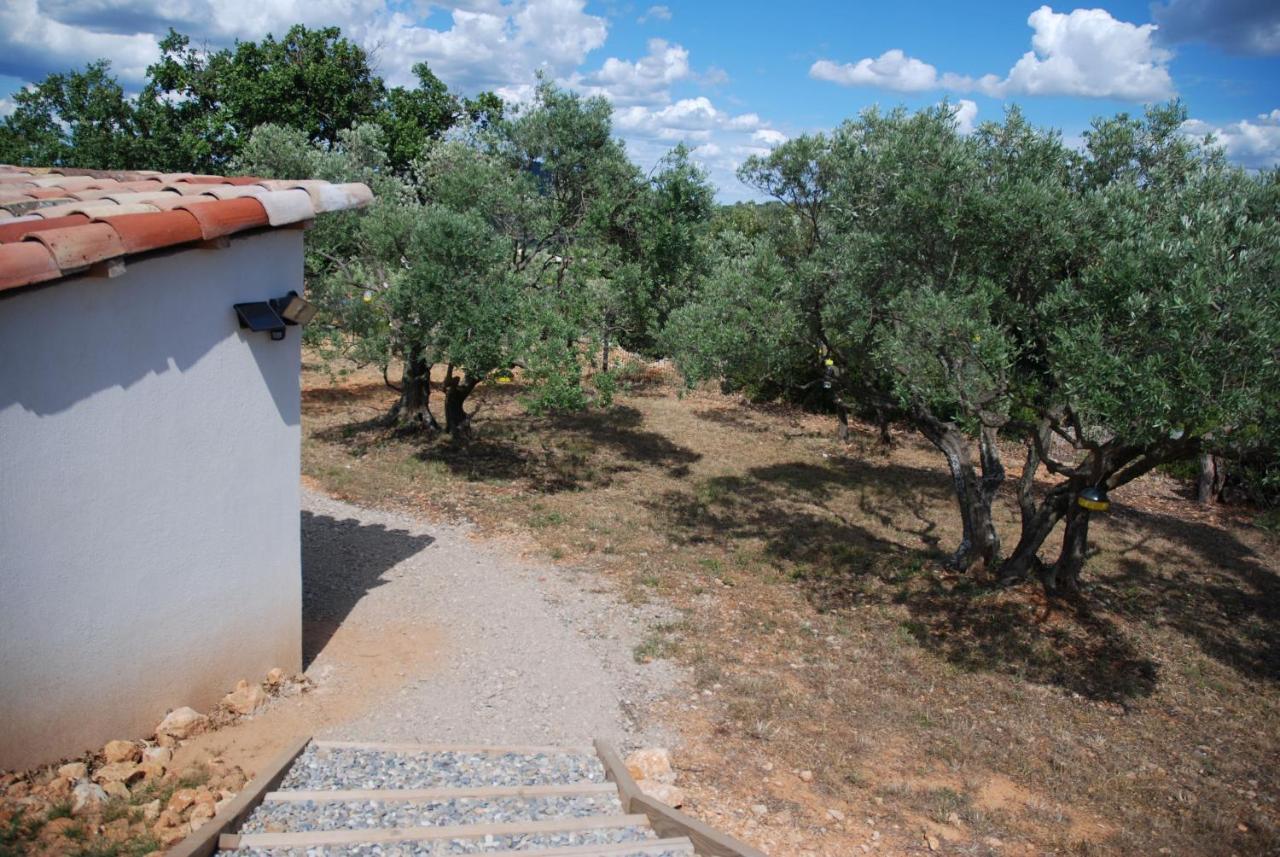Villa Otilia-Bed&Breakfast-Chambres d'hôtes en Provence Rians  Exterior foto